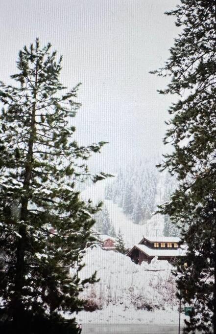 Powder & Pines Luxury Suite วิสต์เลอร์ ภายนอก รูปภาพ